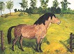 Pferde auf der Weide I