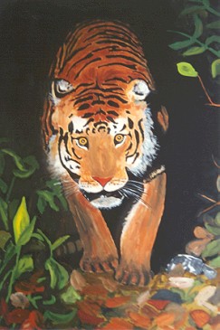 anschleichender Tiger